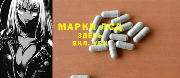 молекула духа Магадан