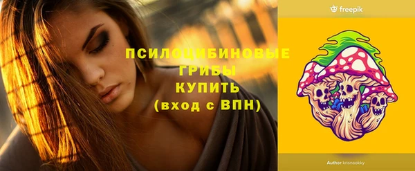 МДПВ Алексин