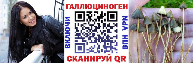 Псилоцибиновые грибы Psilocybine cubensis  blacksprut зеркало  Лесной 