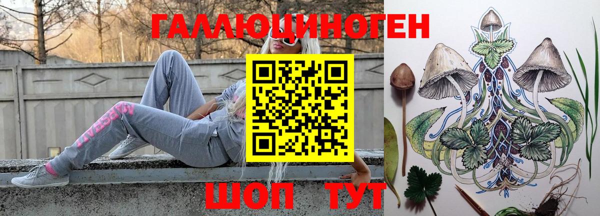 где продают   Лесной  Галлюциногенные грибы Magic Shrooms 