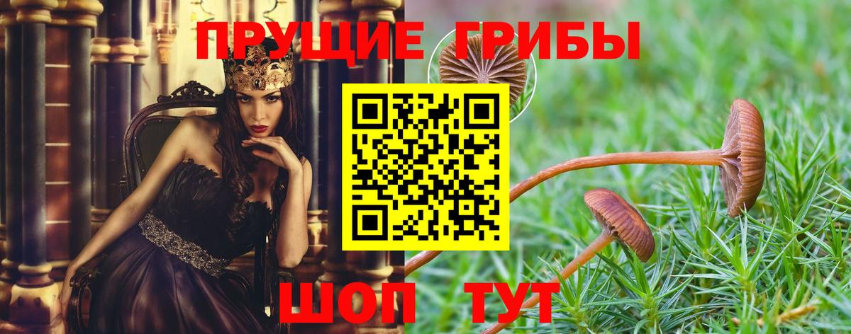 Галлюциногенные грибы MAGIC MUSHROOMS Лесной