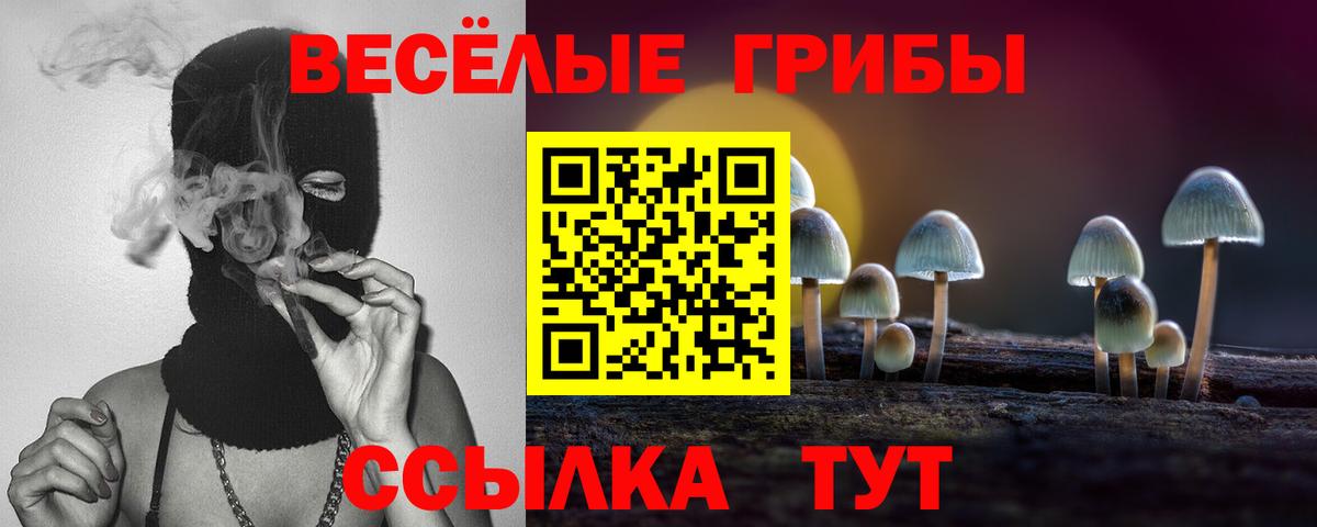 Лесной  Галлюциногенные грибы мицелий  Вход с VPN 