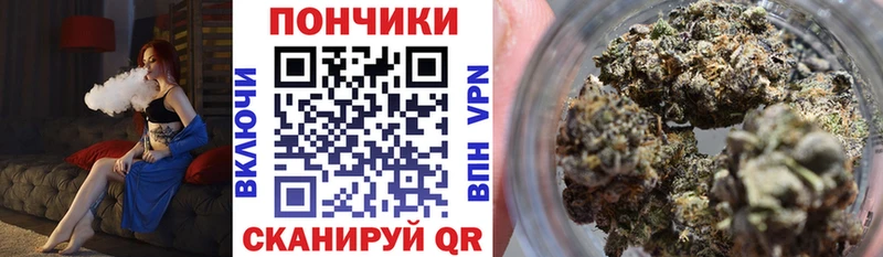 Шишки марихуана ГИДРОПОН  Лесной 